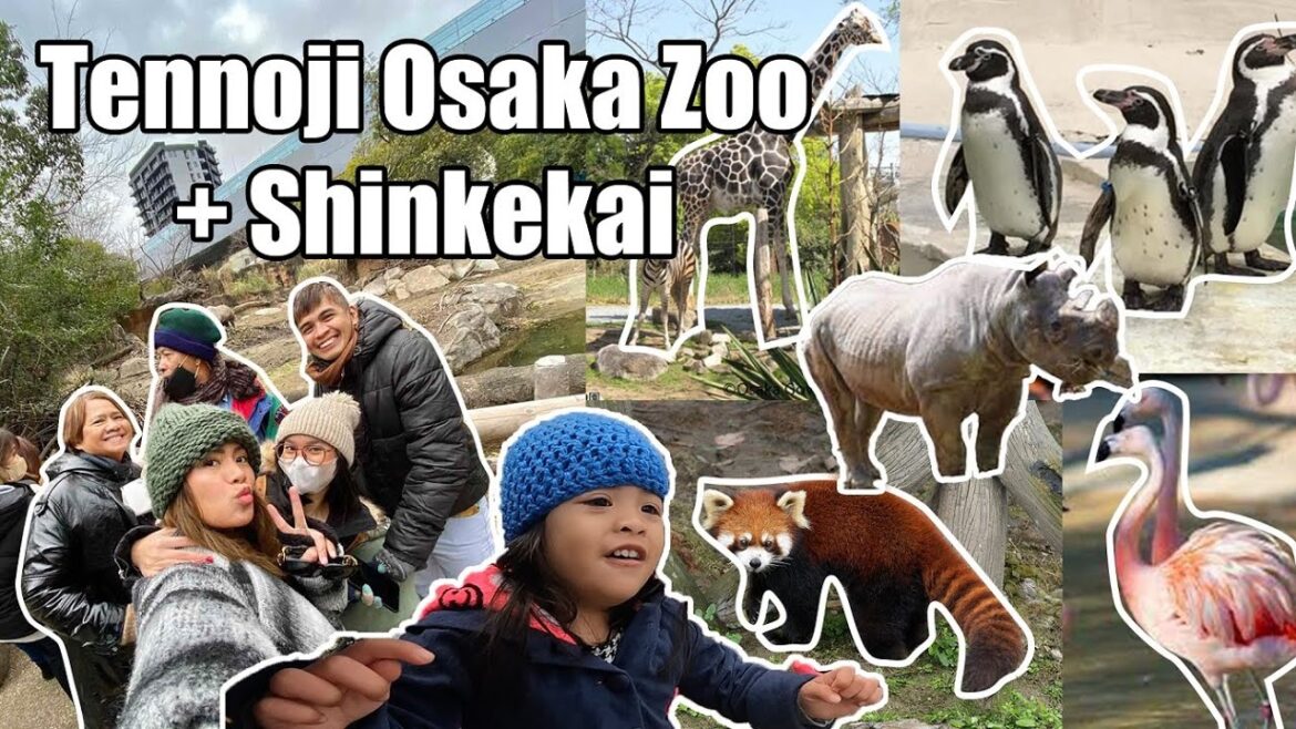 TENNOJI OSAKA ZOO + SHINKEKAI | Lexi's first zoo trip | DJ Chacha