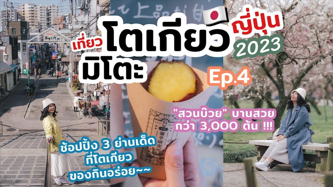 เที่ยวญี่ปุ่น ย่านช้อปปิ้งเก่าแก่ของกินอร่อยในโตเกียว เที่ยวเทศกาลดอกบ๊วย Mito | เที่ยวแล้วเที่ยวอีก เที่ยวญี่ปุ่น ย่านช้อปปิ้งเก่าแก่ของกินอร่อยในโตเกียว เที่ยวเทศกาลดอกบ๊วย Mito | เที่ยวแล้วเที่ยวอีก