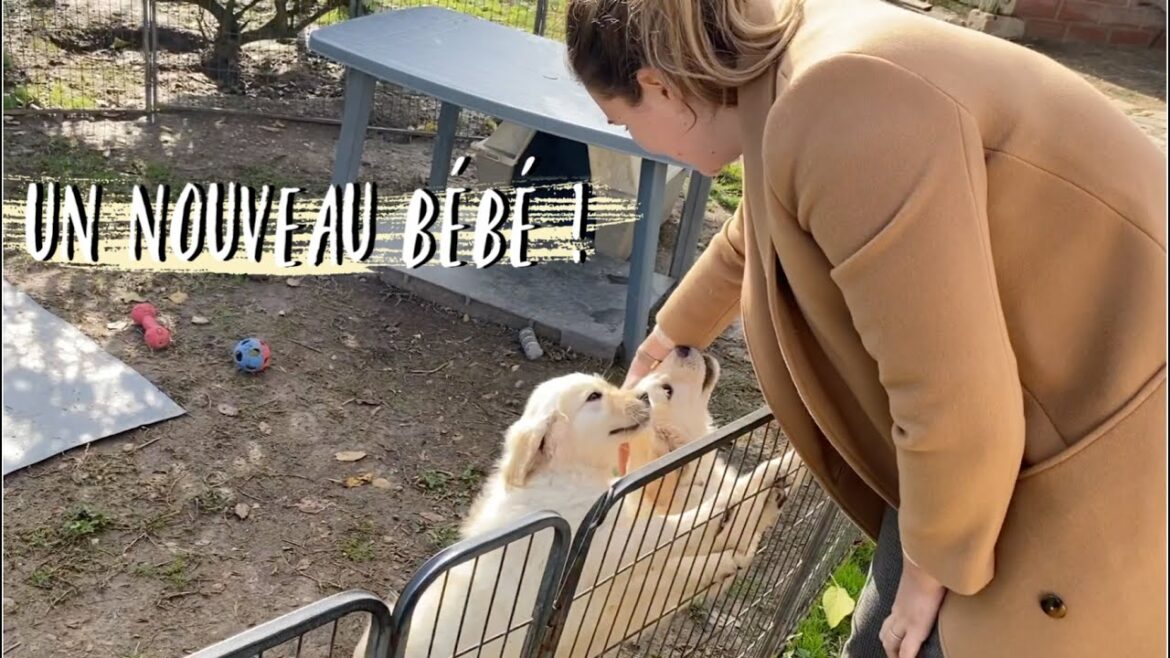 UN NOUVEAU BÉBÉ !⎢VLOG