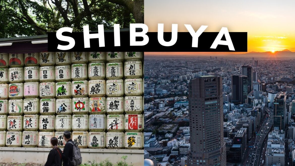 Première fois à Shibuya – Vlog Japon Première fois à Shibuya - Vlog Japon