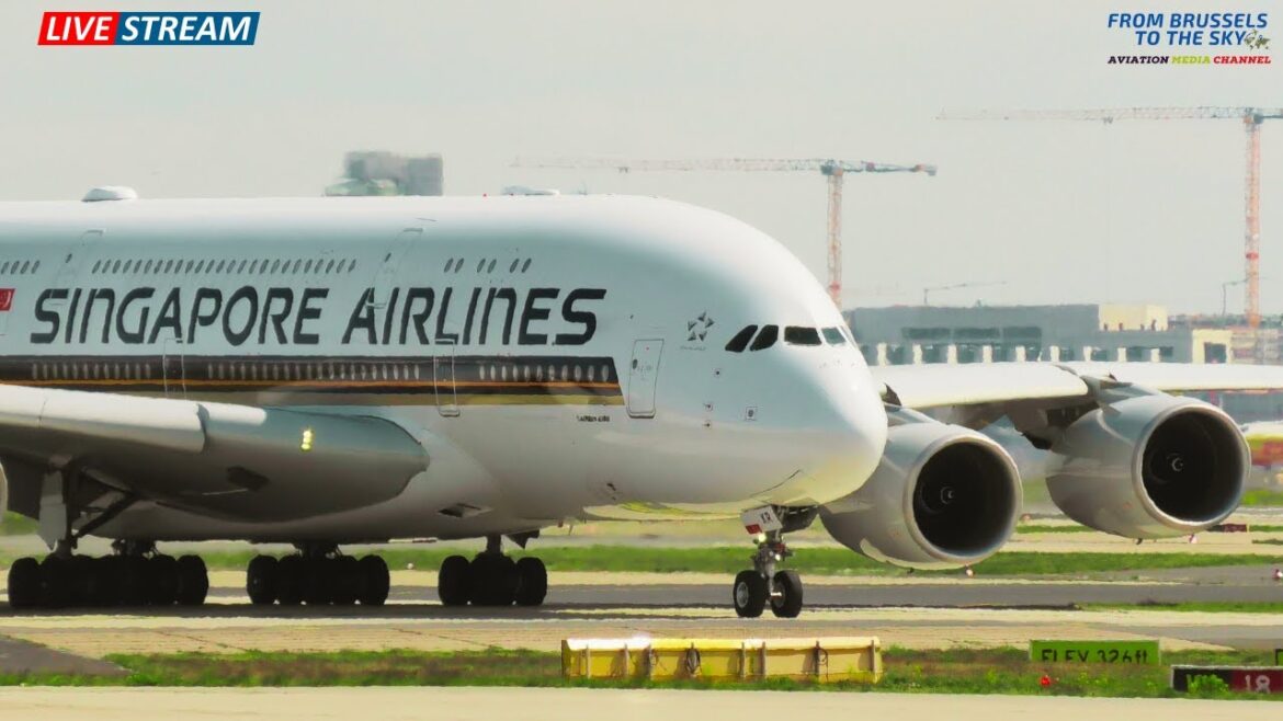 🔴 LIVE - Frankfurt Airport - Plane Spotting