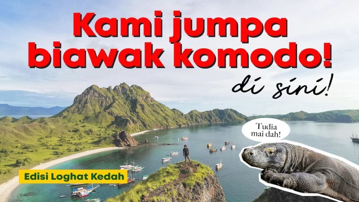 3 Hari 2 Malam Itenerary Boat Tour di Komodo National Park