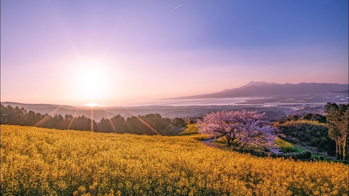 Nagasaki all year round