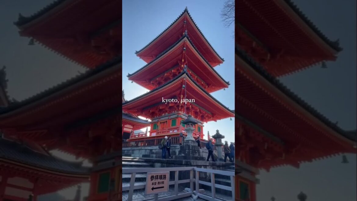 #short #japan #japanese #shorts #travel #vacation #explore #globetrotter #monde #voyage