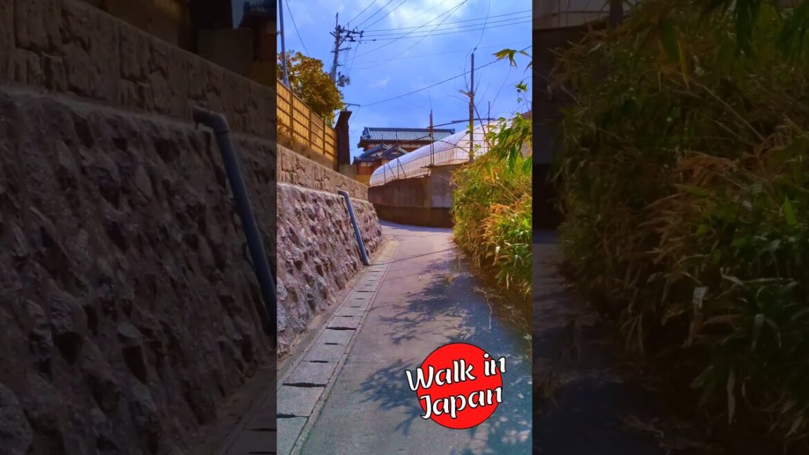 Walking a Narrow Road #japan #Shorts #ShortsVideo