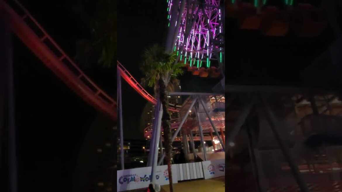 #japan #japandiaries #japantravel #rollercoaster #yokohama #cosmoworld #people #cosmoworldyokohama