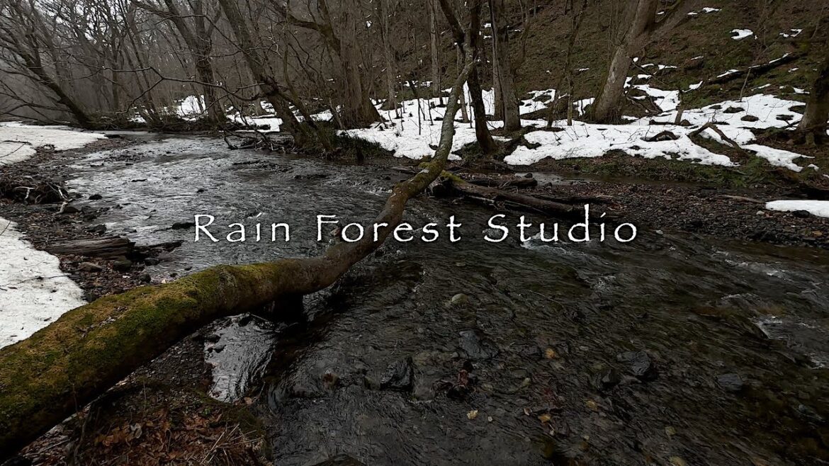 OIRASE : 奥入瀬渓流 〜 冬の終わり [4K]