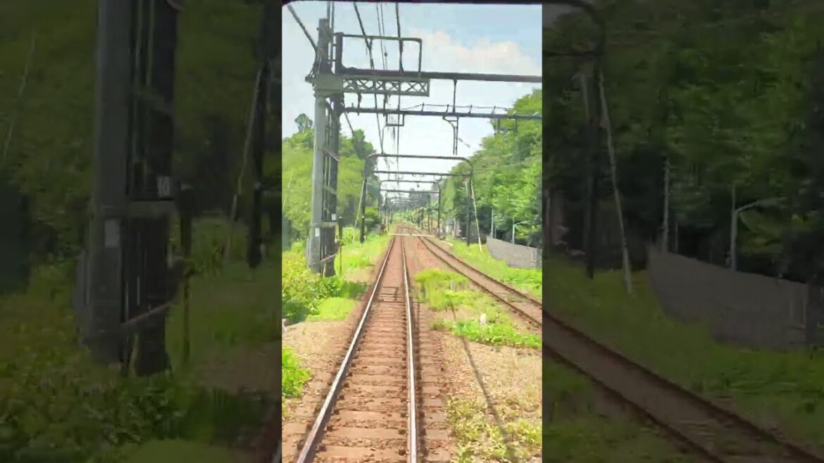 Japanese Train The Keio Inokashira Line Shibuya to Kichijoji Front View 4K60fps #shorts Part 1 Japanese Train The Keio Inokashira Line Shibuya to Kichijoji Front View 4K60fps #shorts Part 1