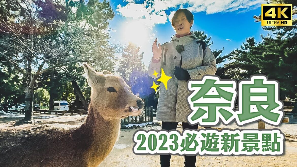 奈良必去一日遊景點😍奈良公園、M!Nara購物中心、大佛布丁、金魚博物館｜關西奈良一日遊攻略・日本旅遊4K VLOG