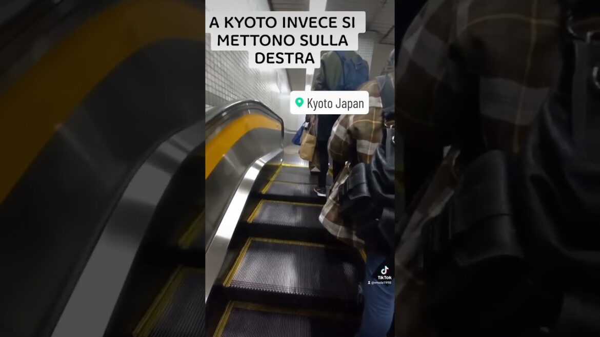 Sicuro NON SAI che a KYOTO…#shorts #short #japan #giappone #japanese #asia #tokyo #travel #trip Sicuro NON SAI che a KYOTO...#shorts #short #japan #giappone #japanese #asia #tokyo #travel #trip