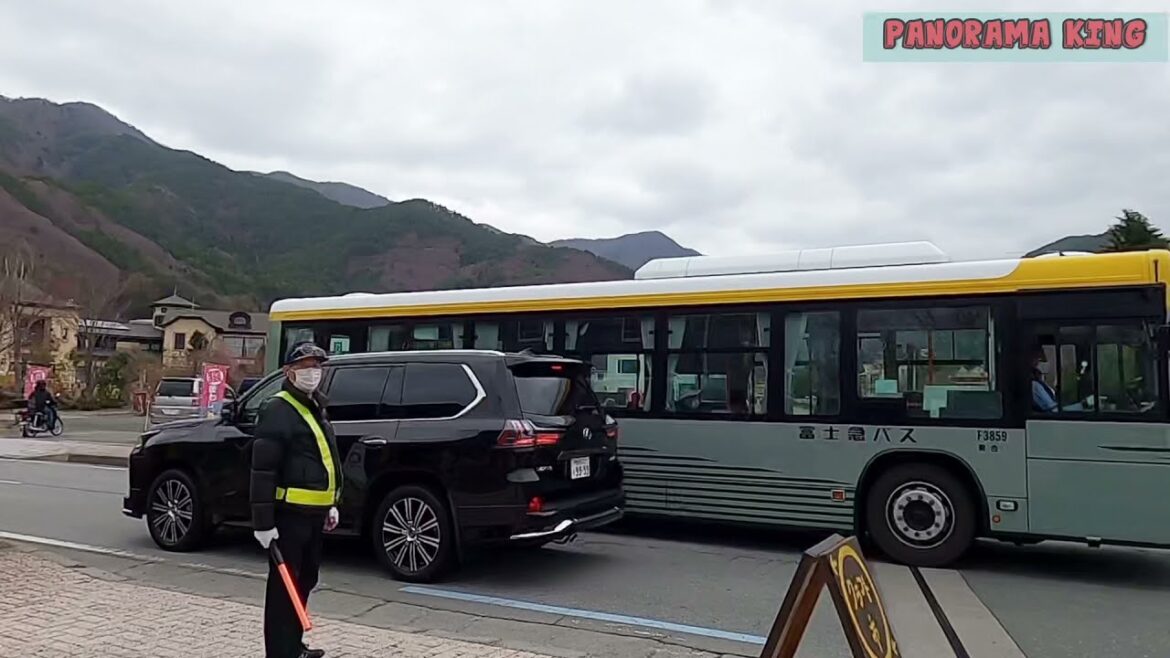 Cherry Blossom in Fujikawaguchiko #Japan 2021