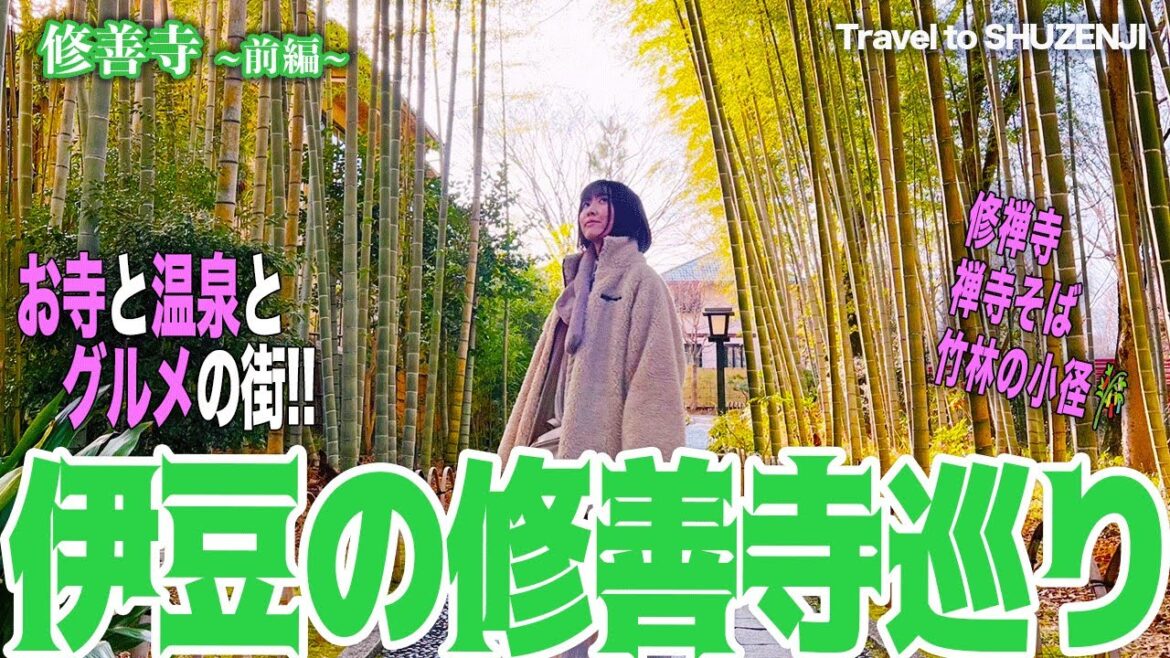 【伊豆①】Izu Shuzenji trip / 修善寺へのんびり旅行 #vlog 【伊豆①】Izu Shuzenji trip / 修善寺へのんびり旅行 #vlog