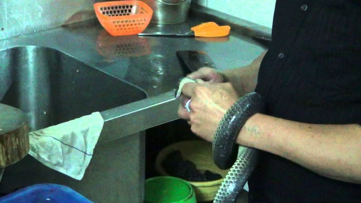Snake slaughtering - Vietnam