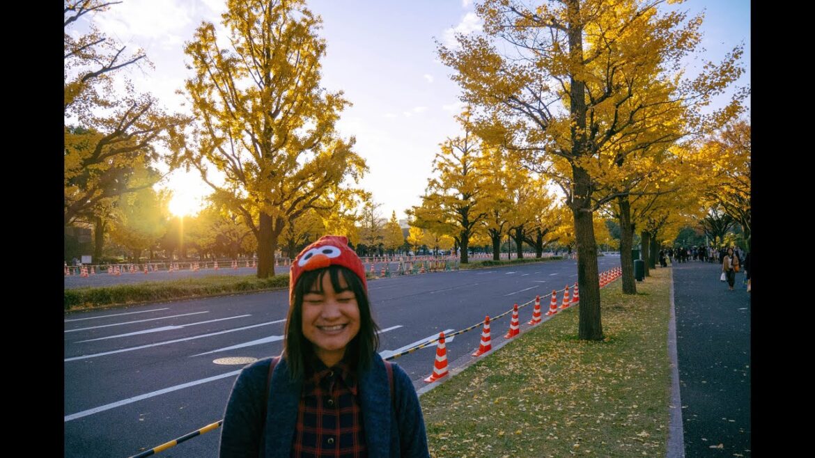 Travel Diary : 10 days in Tokyo