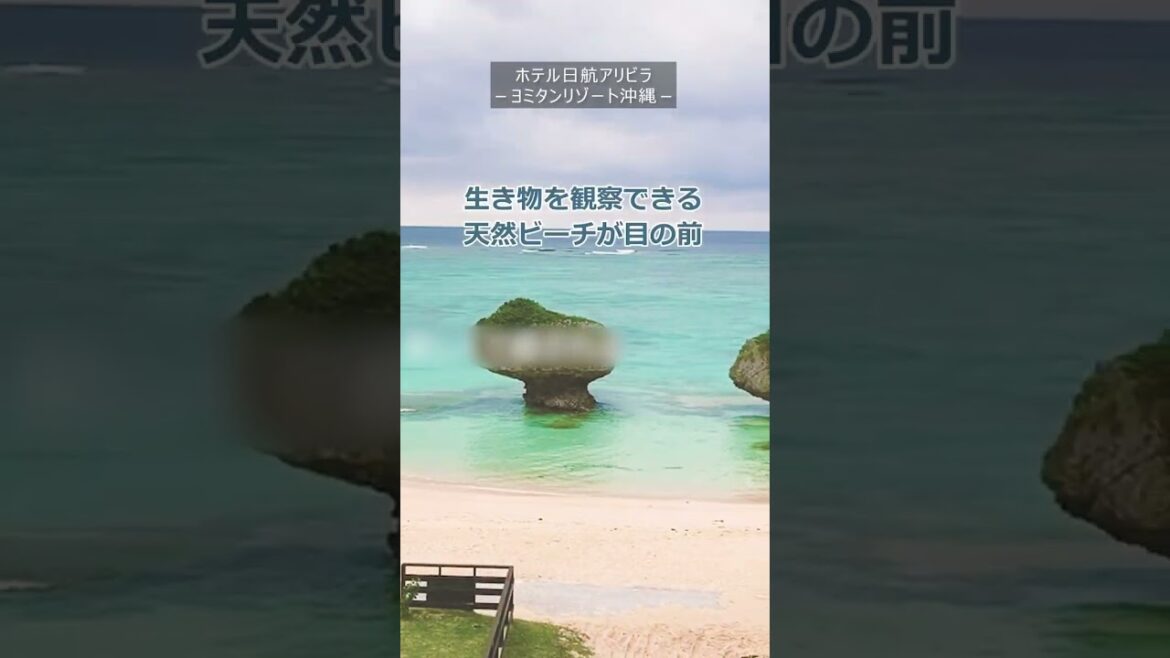 【沖縄】ビーチが自慢の沖縄リゾートホテル3選 【沖縄】ビーチが自慢の沖縄リゾートホテル3選