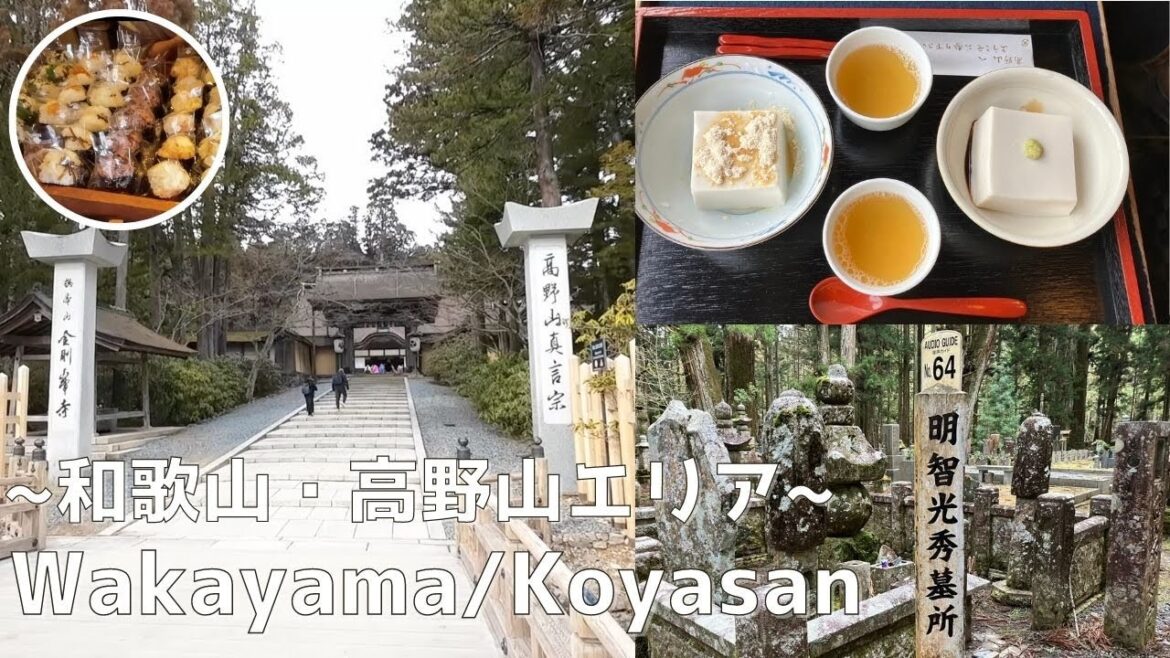 徹底ガイド 心をリフレッシュ 世界遺産高野山の魅力に迫る 徹底ガイド 心をリフレッシュ 世界遺産高野山の魅力に迫る