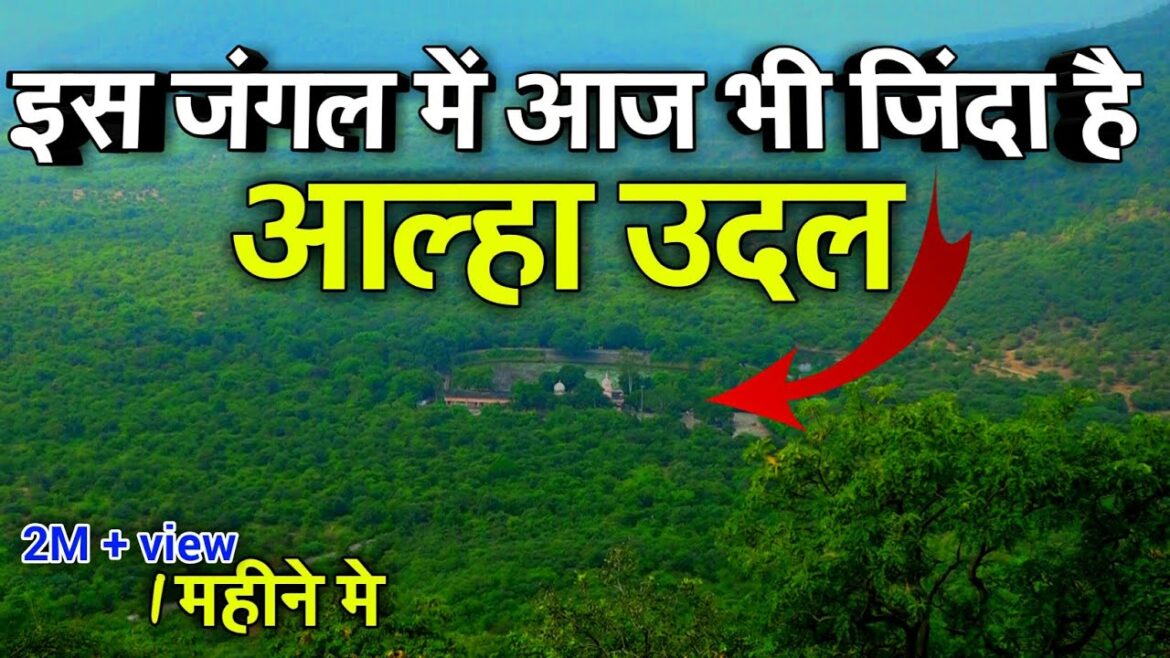 मैहर में आज भी जिन्दा है आल्हा उदल | आल्हा उदल  का रहस्यमय अखाड़ा | Maihar temple mp 2020