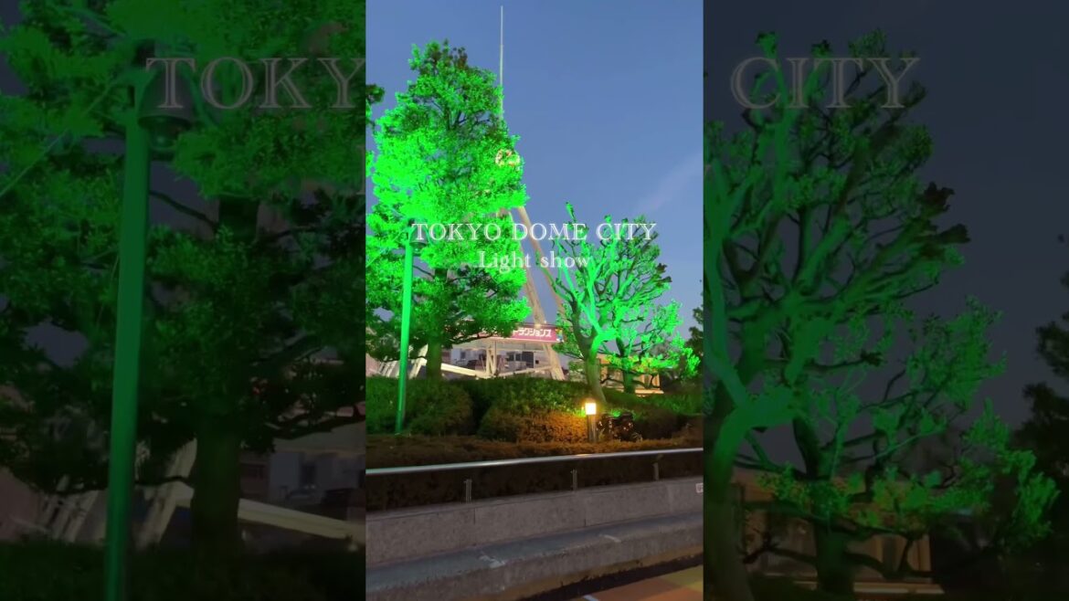 【イルミネーション】TOKYO DOME CITY / 東京ドームシティ #short