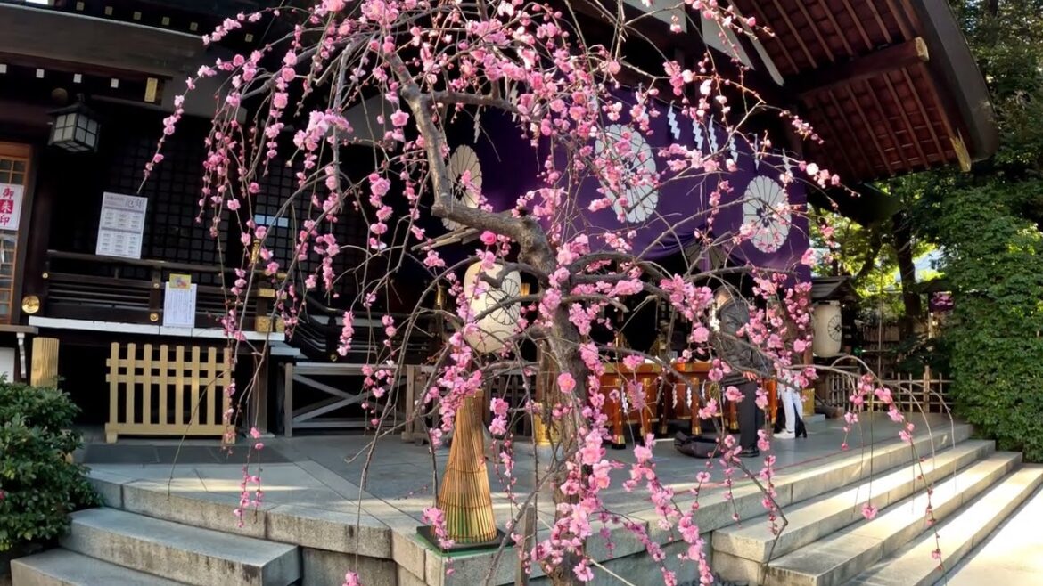 Tokyo Daijingu & Tokyo Station / 東京大神宮と東京駅