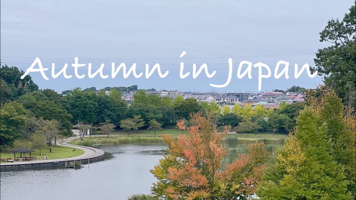 Early Autumn in Japan | Aki 秋 | Japan Travel | Life in Japan