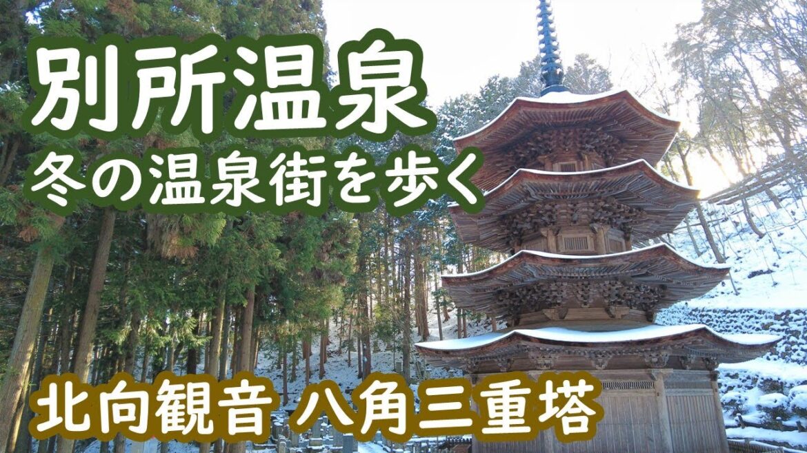 別所温泉 北向観音と国宝八角三重塔を参拝、冬の別所温泉街を散策 Nagano|シニア・長野移住ライフ|vlog 097 別所温泉 北向観音と国宝八角三重塔を参拝、冬の別所温泉街を散策 Nagano|シニア・長野移住ライフ|vlog 097