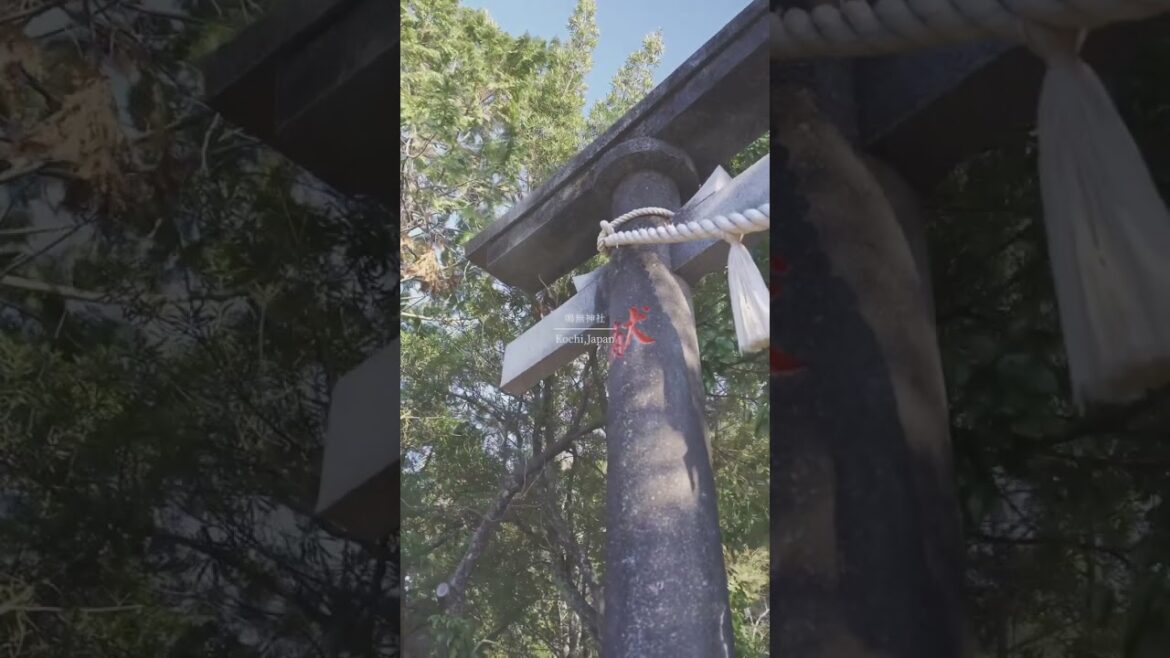 #short #japan #japanese #shorts #travel #vacation #explore #globetrotter #monde #voyage