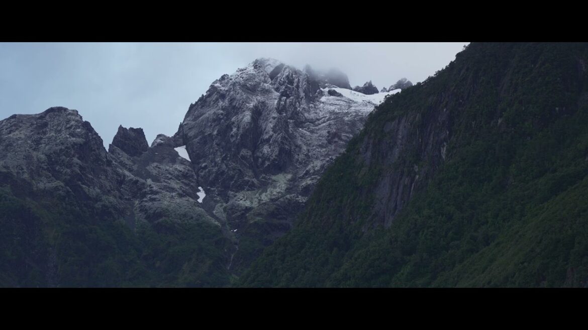 Sony FX30 S-Cinetone Profile