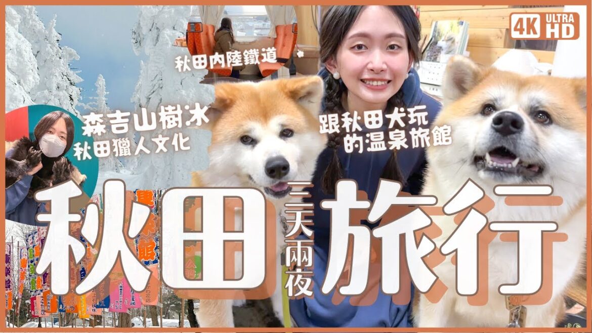 日本東北 秋田三天兩夜深旅行｜能跟秋田犬玩的溫泉旅館 森吉山珍貴樹冰 秋田內陸鐵道乘車 蕎麥麵製作體驗 工藝品DIY 美食美酒 歷史文藝景點 秋田獵人文化｜4K VLOG