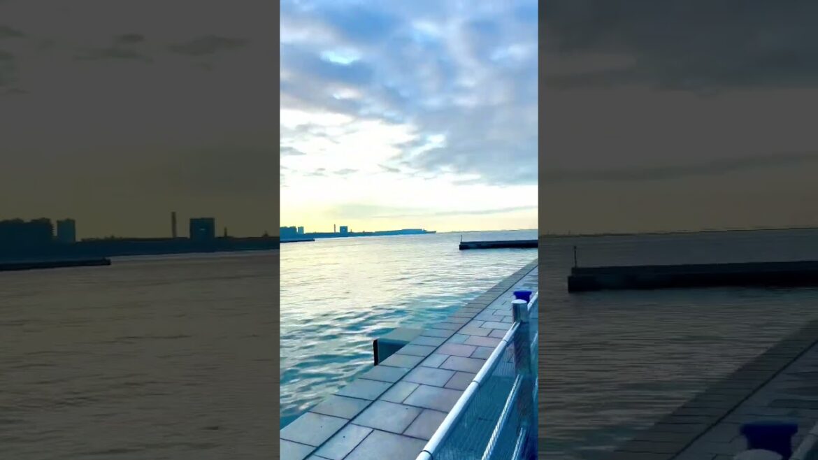 Amazing 4K walk /PortKobe / ☀️ 🌊#japan#sunset #kobeport#kobebrayant #shortfeed #shorts #traveling