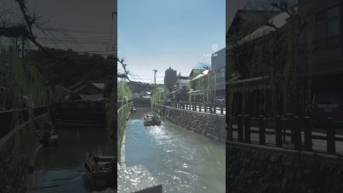 Sawara littleedo 🎎  #sawaralittleedo #chiba #japan #japaneseculture #travel #random #佐原 #佐原小江戸