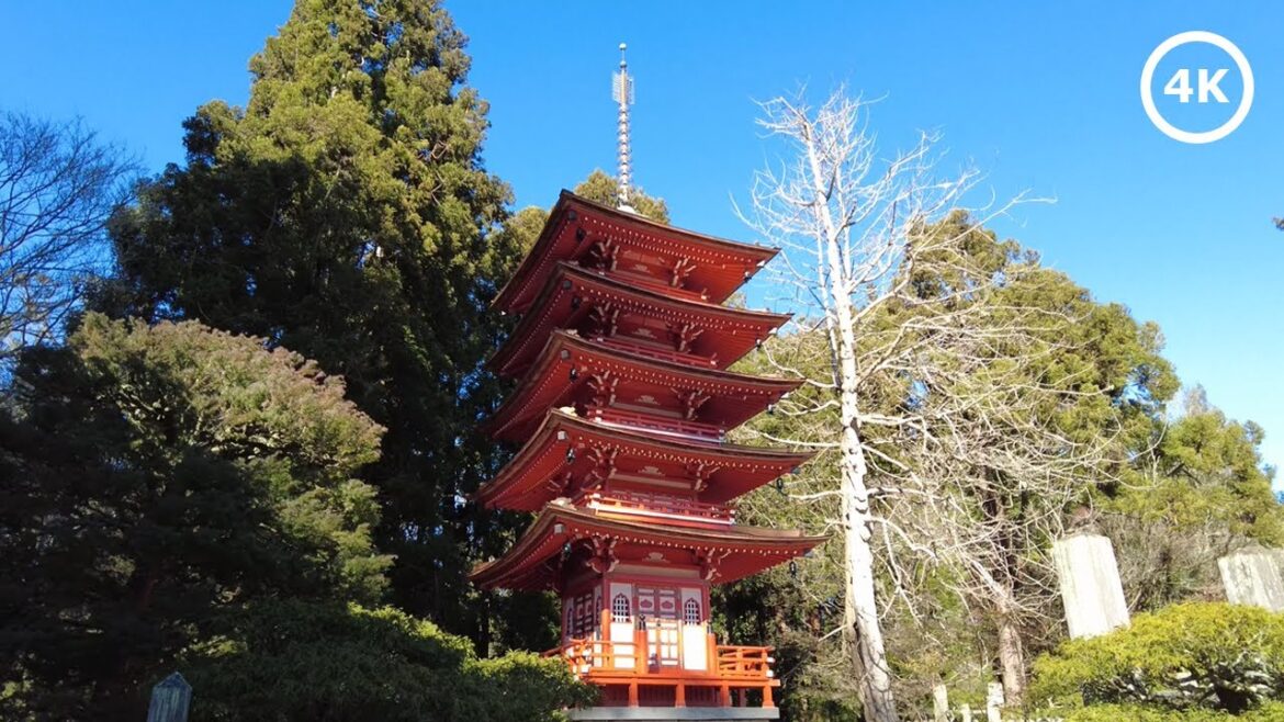 SF Japanese Tea Garden Walking Tour + Relaxing Lo-fi Music | Golden Gate Park | SF California | 4K SF Japanese Tea Garden Walking Tour + Relaxing Lo-fi Music | Golden Gate Park | SF California | 4K