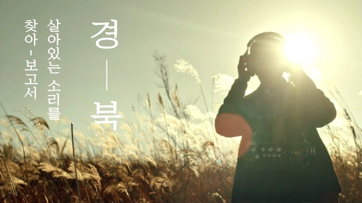 [보이소 TV] 경북의 살아있는 소리를 찾아 떠나는 감성여행