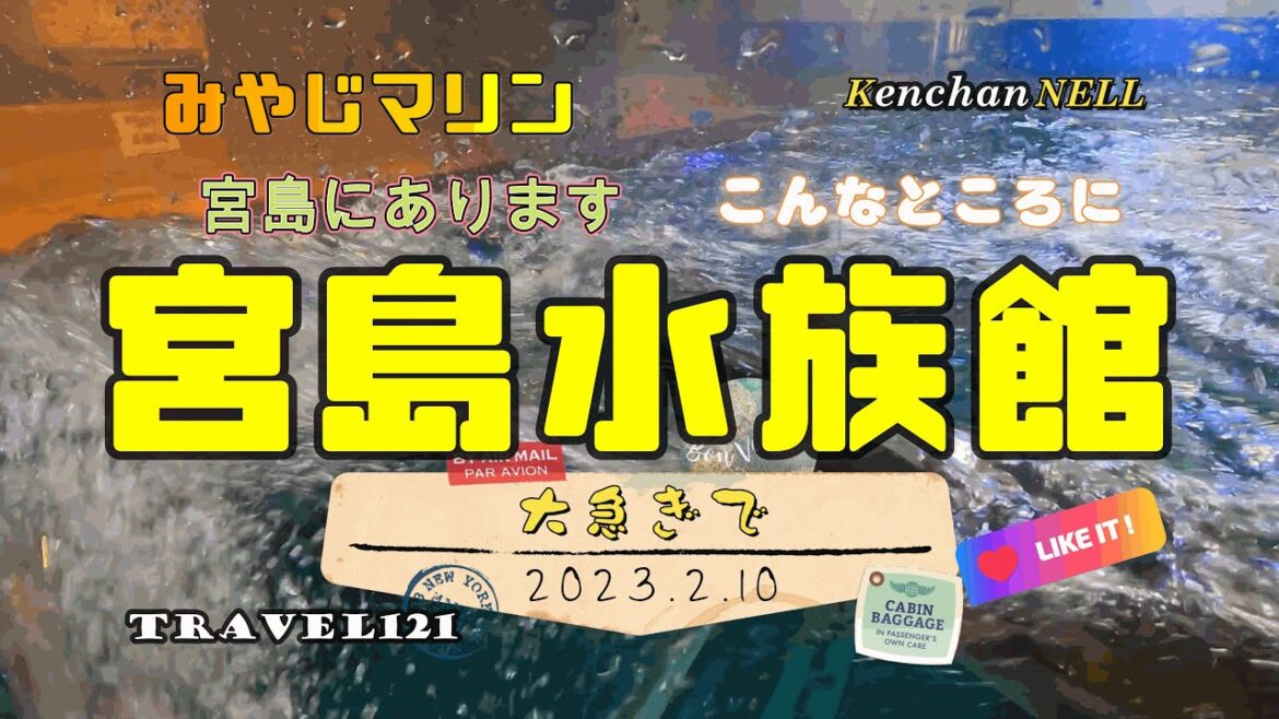 宮島水族館「みやじマリン」は厳島神社の先にある 宮島水族館「みやじマリン」は厳島神社の先にある