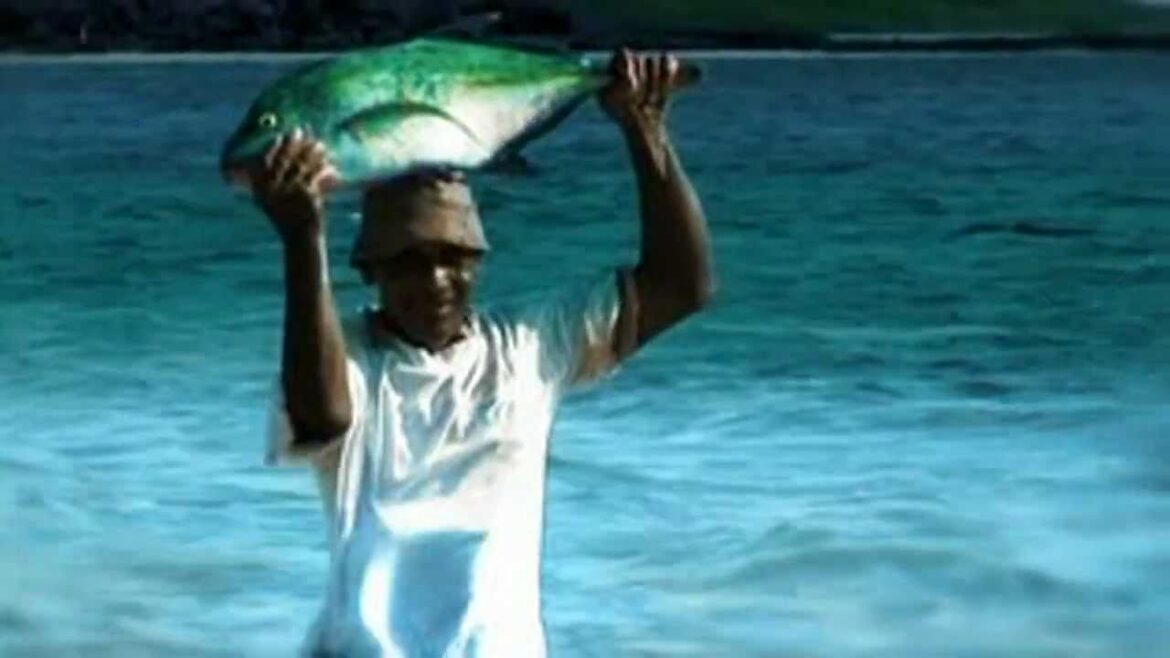 Rodrigues - Mauritius