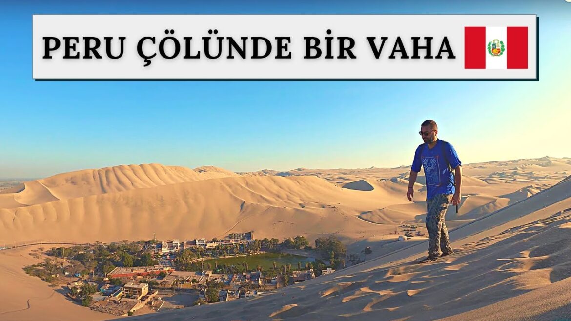 Hayat simülasyonunda otostopla yolculuk devam ediyor. -PERU