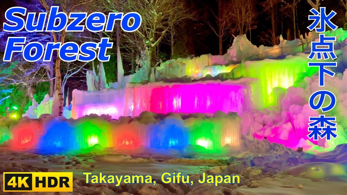 氷点下の森 Subzero Forest in Takayama, Gifu, Japan. Hyoutenkan no Mori. Ice illumination.