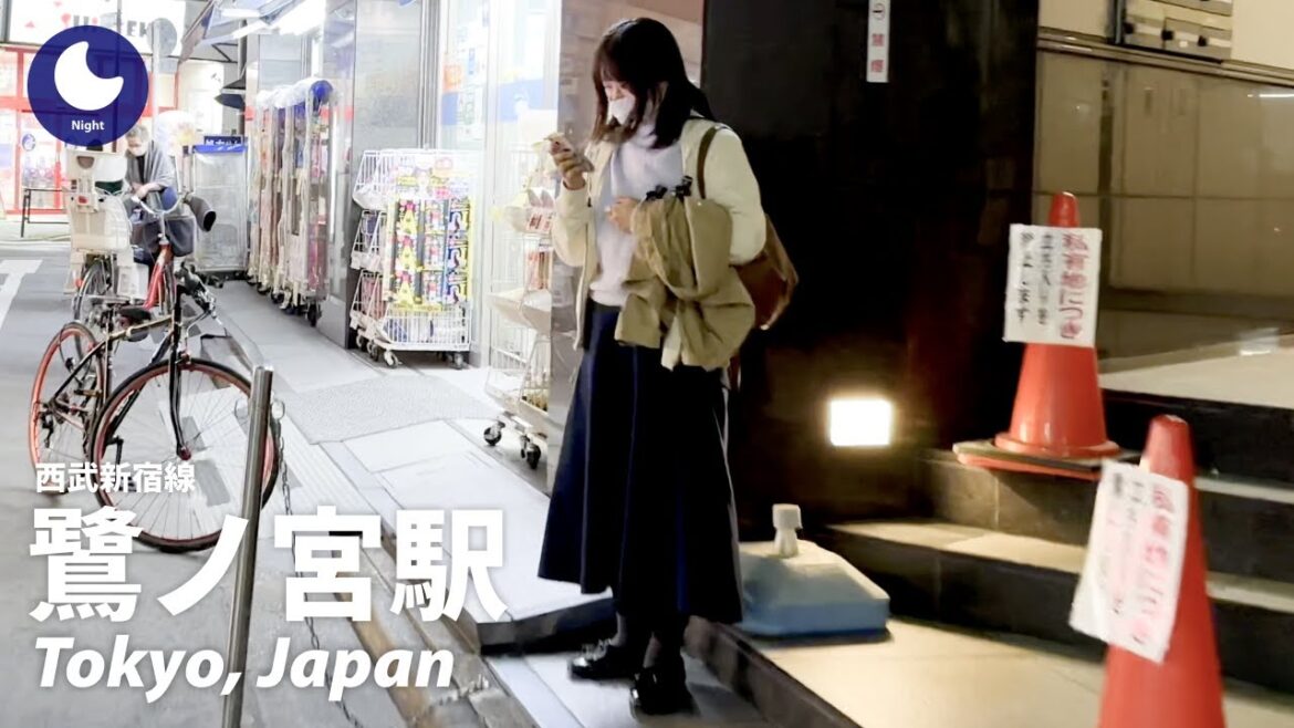 ⁴ᴷ Tokyo: Saginomiya Station (鷺ノ宮駅) – Japan Walking Tour (March, 2023) ⁴ᴷ Tokyo: Saginomiya Station (鷺ノ宮駅) - Japan Walking Tour (March, 2023)