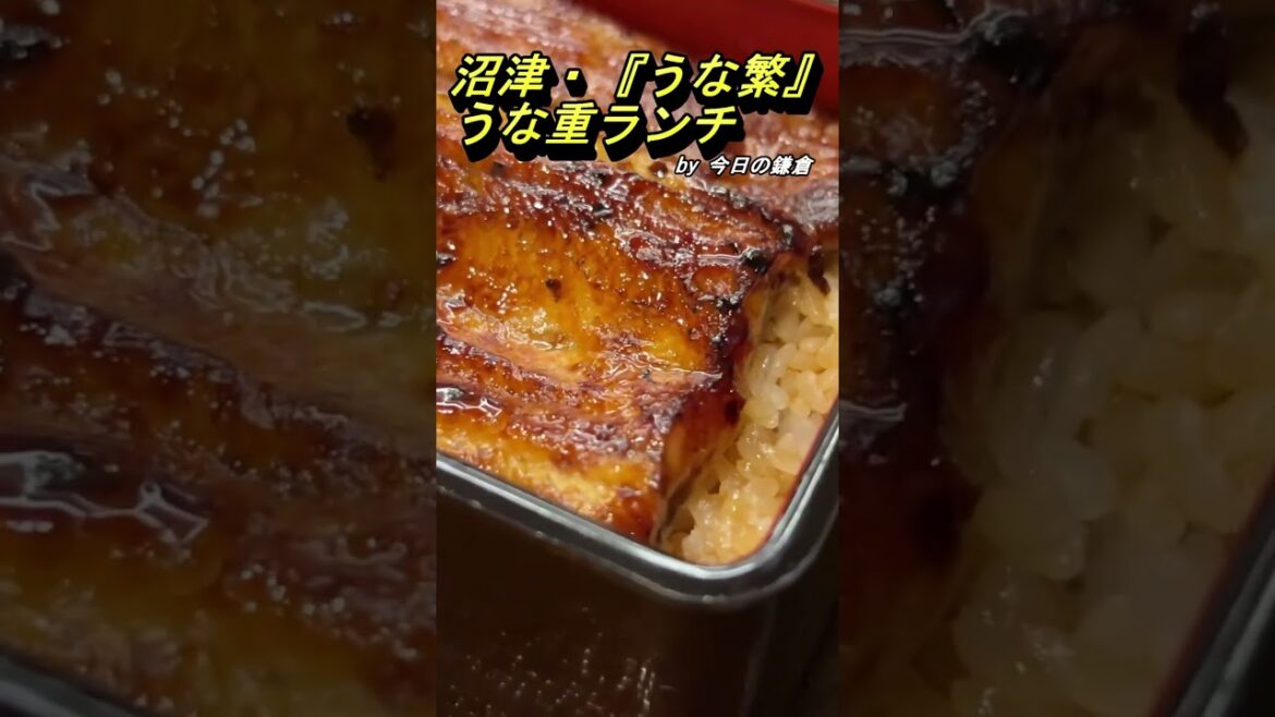 【今日の鎌倉＠遠征】沼津の『うな繁』でうな重を食べてきた！#shorts