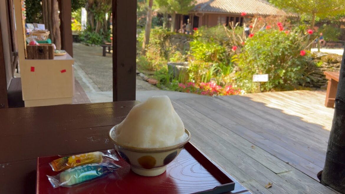 2月の沖縄旅行🌺ANA那覇セール便で行く✈️