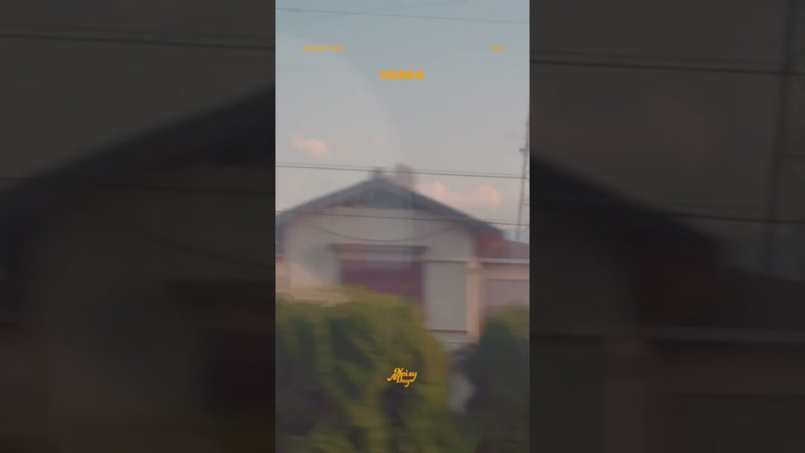 OSAKA.travel.kansai.miyakojima.やきにく#shorts