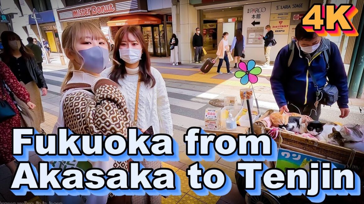 [4k]아카사카에서 텐진까지 걸으며 즐기는 후쿠오카의 거리