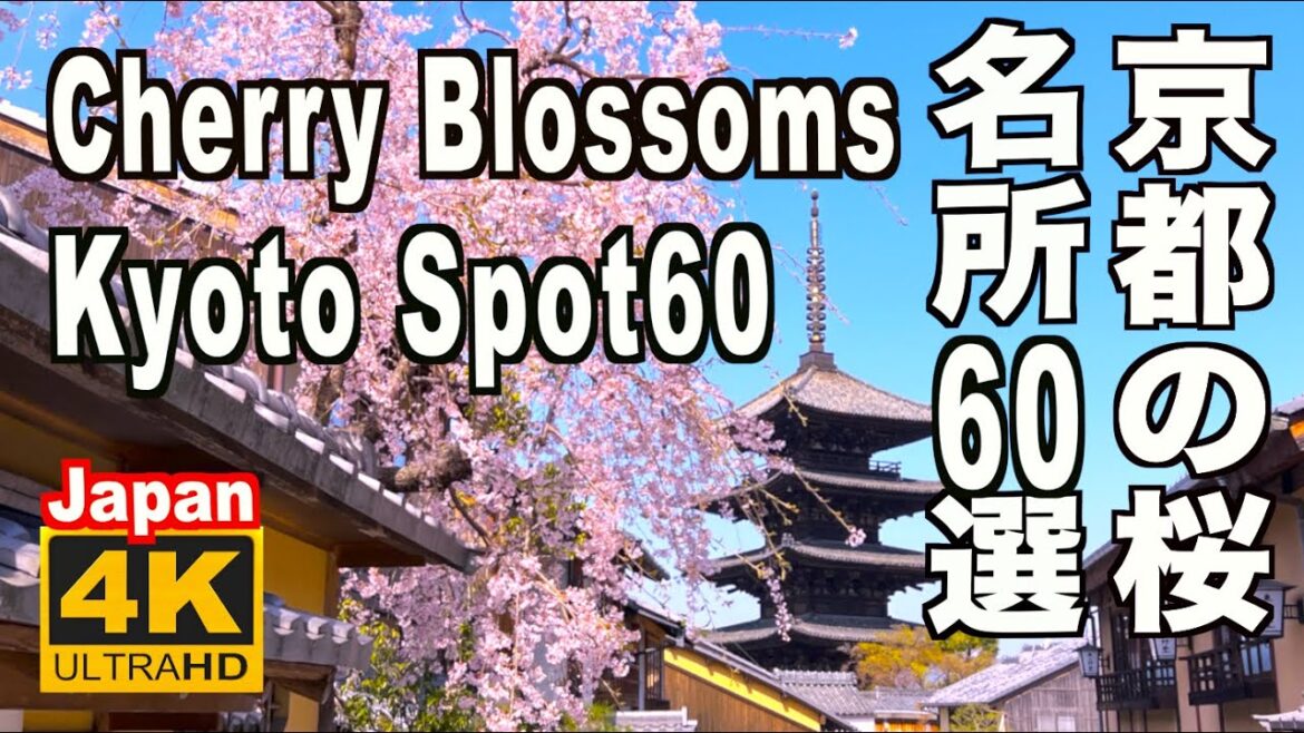 4K 京都の桜名所60選 Kyoto Cherry Blossom Spot 60（sakura) Japan 京都観光 旅行 案内 満開 花見 清水寺 平安神宮 嵐山 哲学の道 醍醐寺 二条城