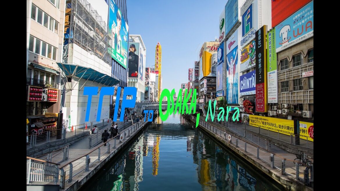 Trip to Osaka, Nara Part 1