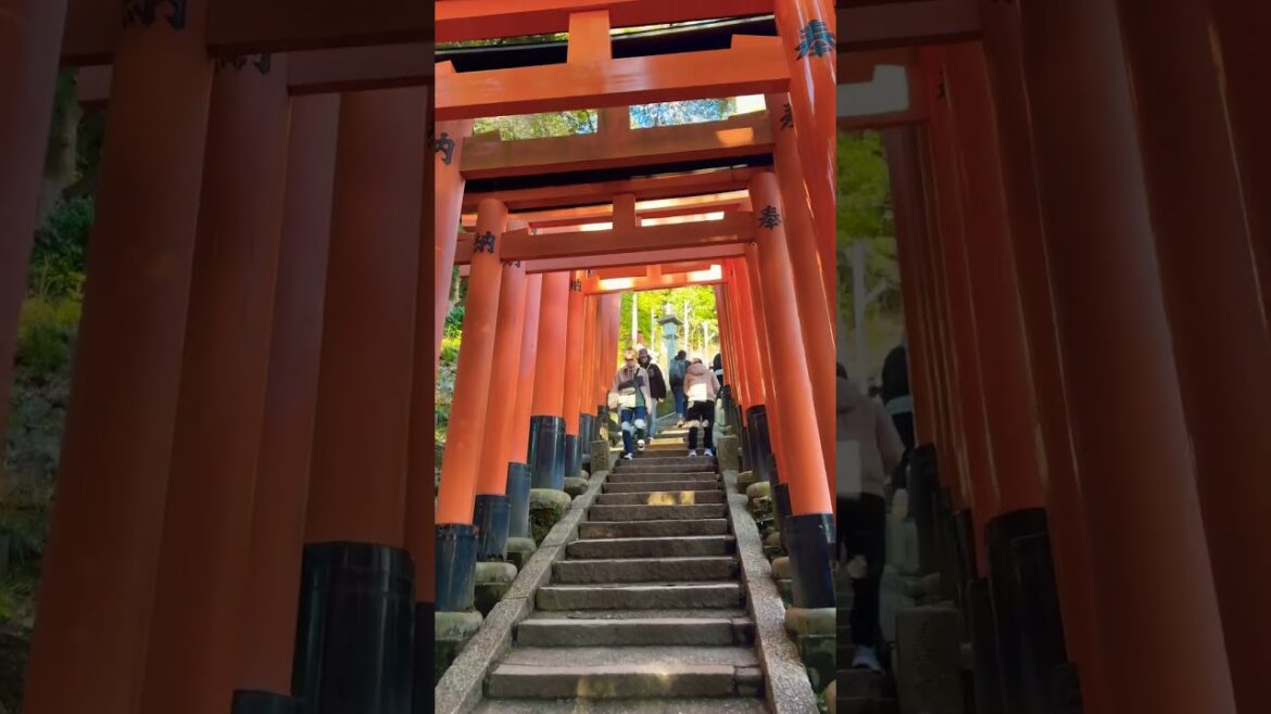 Hiking Kyoto’s iconic Fushimi Inari Taisha Senbon Torii (Thousands Torii Gate)