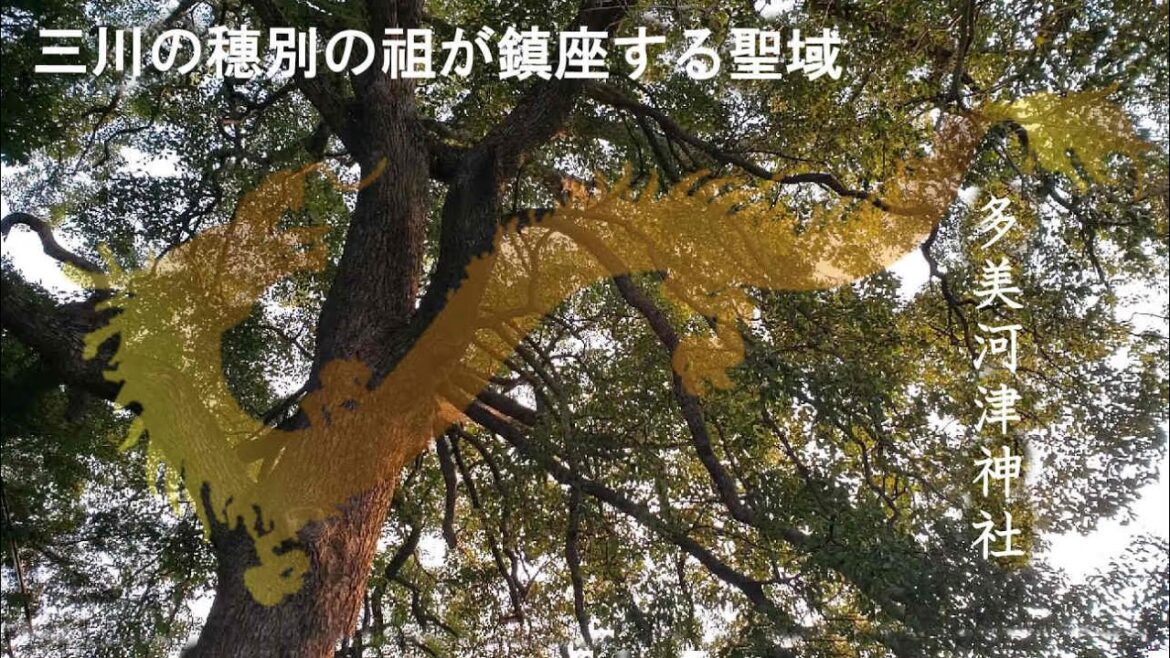【開運！見るだけで参拝できる】三川の穗別の祖が鎮座する聖域～多美河津神社(愛知県豊川市)オンライン参拝2023年版　※YouTube神社参拝数世界一！534箇所目
