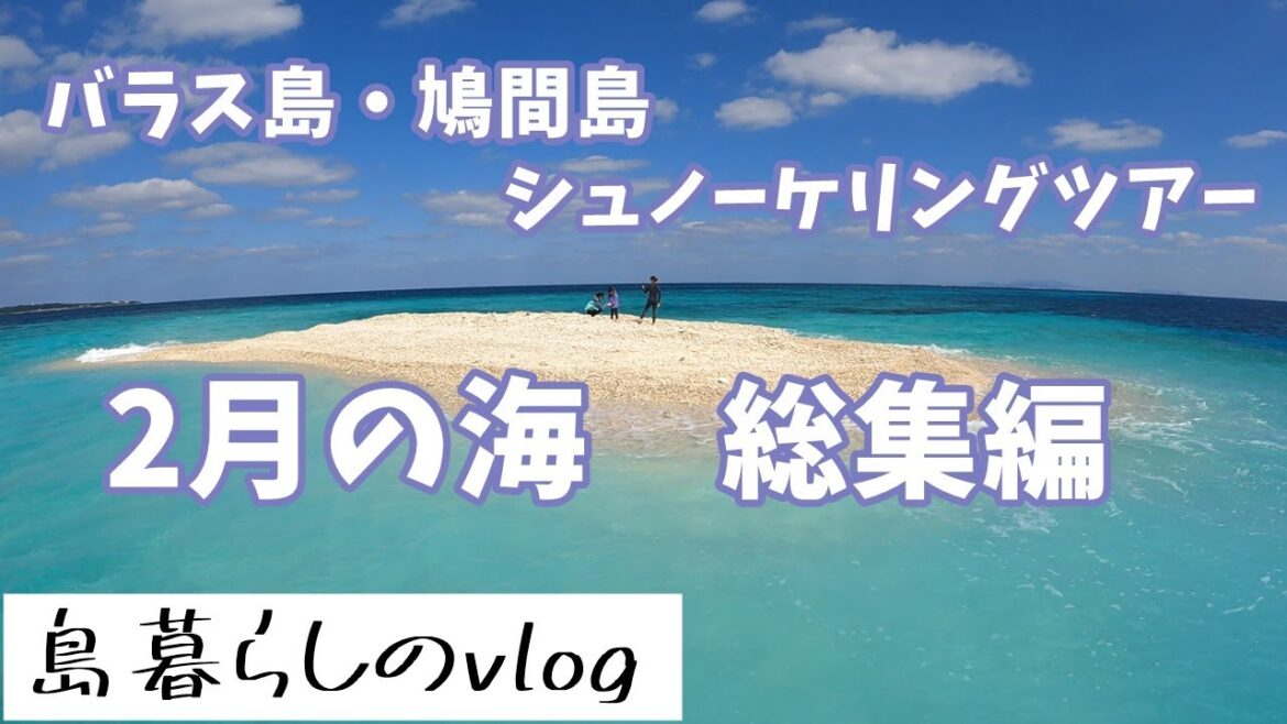 西表島バラス島・鳩間島シュノーケリングツアー/2月総集編/No.215 西表島バラス島・鳩間島シュノーケリングツアー/2月総集編/No.215