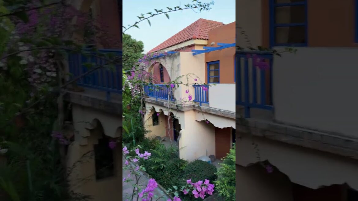 Our new house🐕like and subscribe🙏 #shorts #dog  #travel