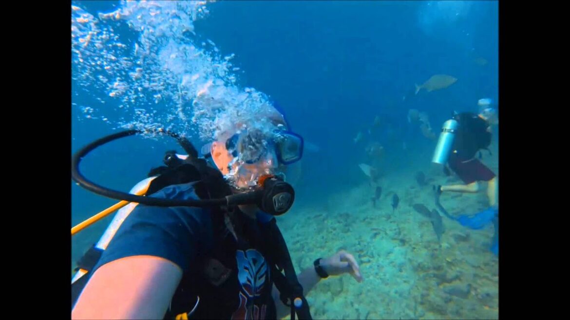 Scuba trip – Maeda Okinawa Scuba trip - Maeda Okinawa