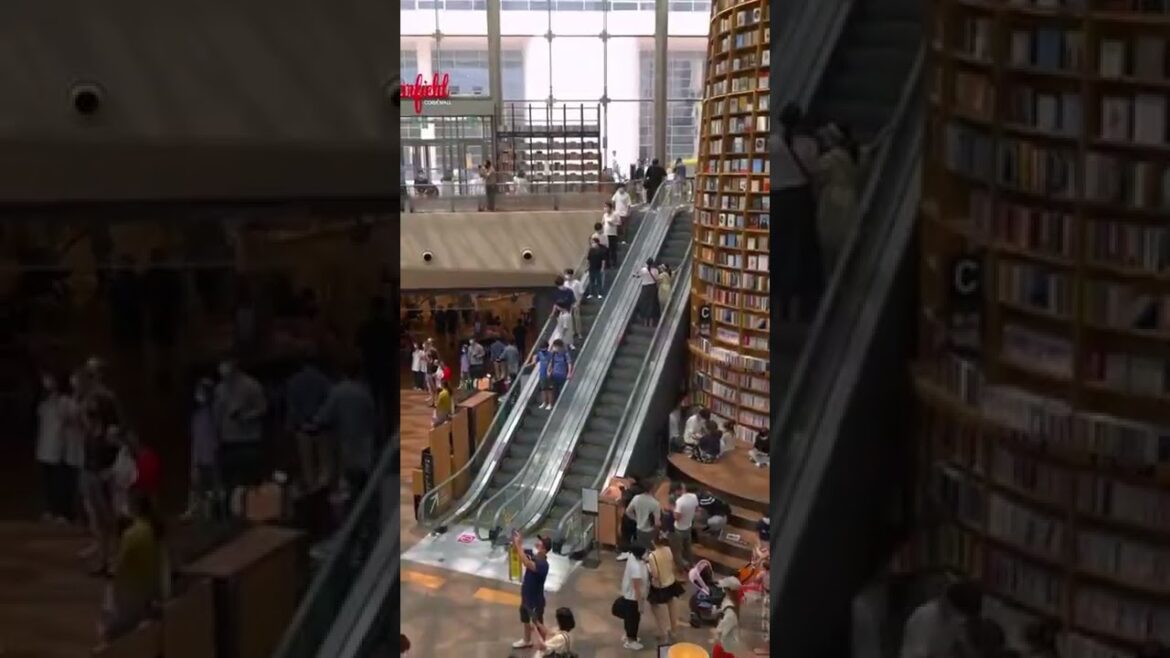 Libraries in Seoul are next level 😯 Starfield Library,