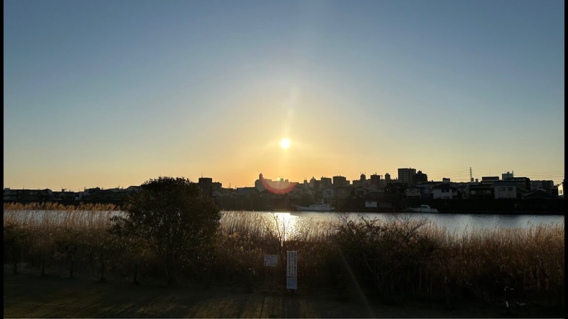 🔴 IRL Good Morning Tokyo! Edogawa to Chiba